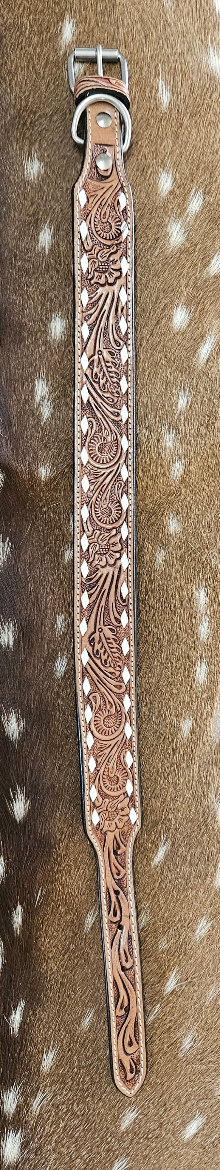 Dallas Dog Collar