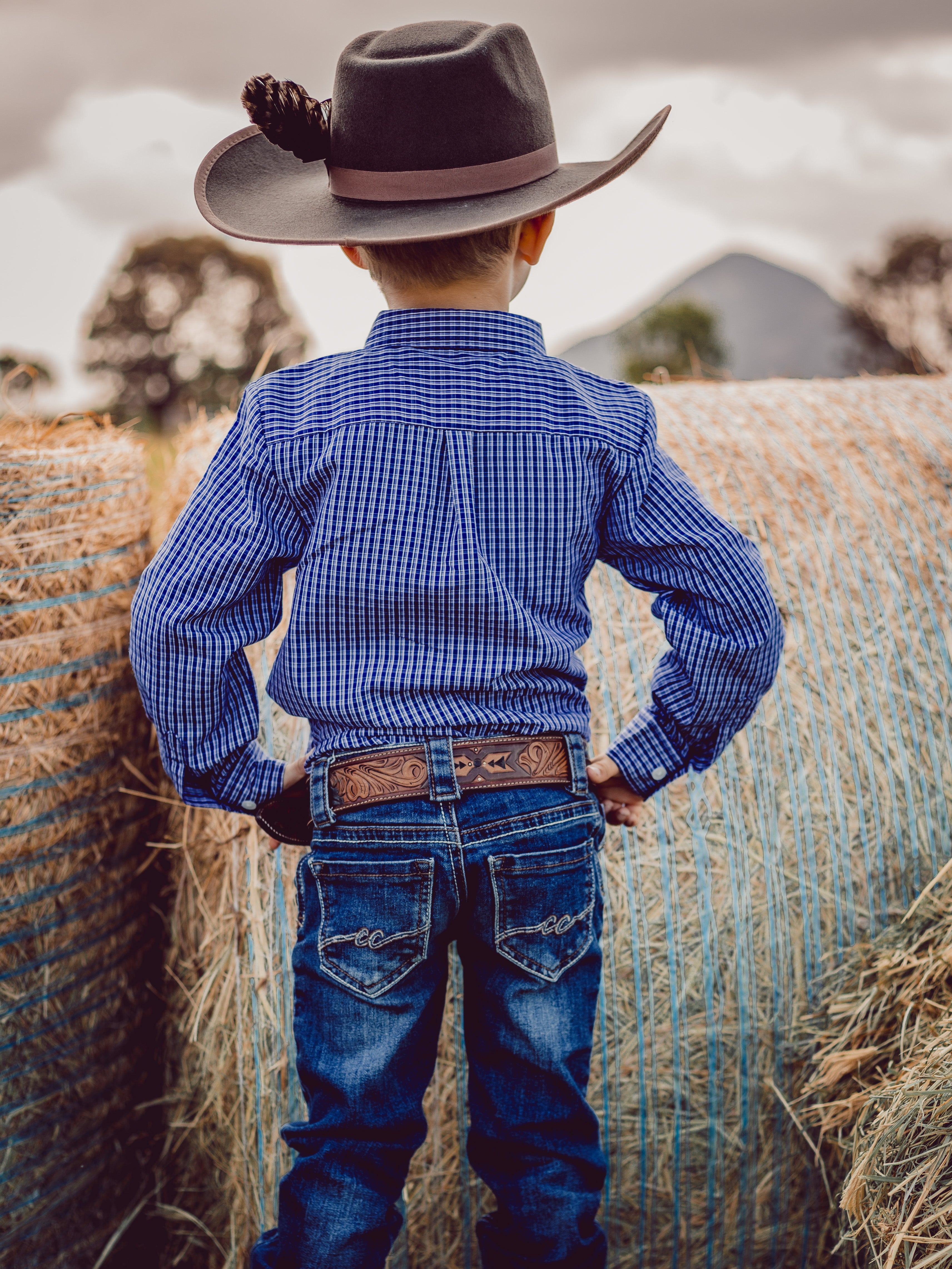 Ballandean Classic Dress Shirt