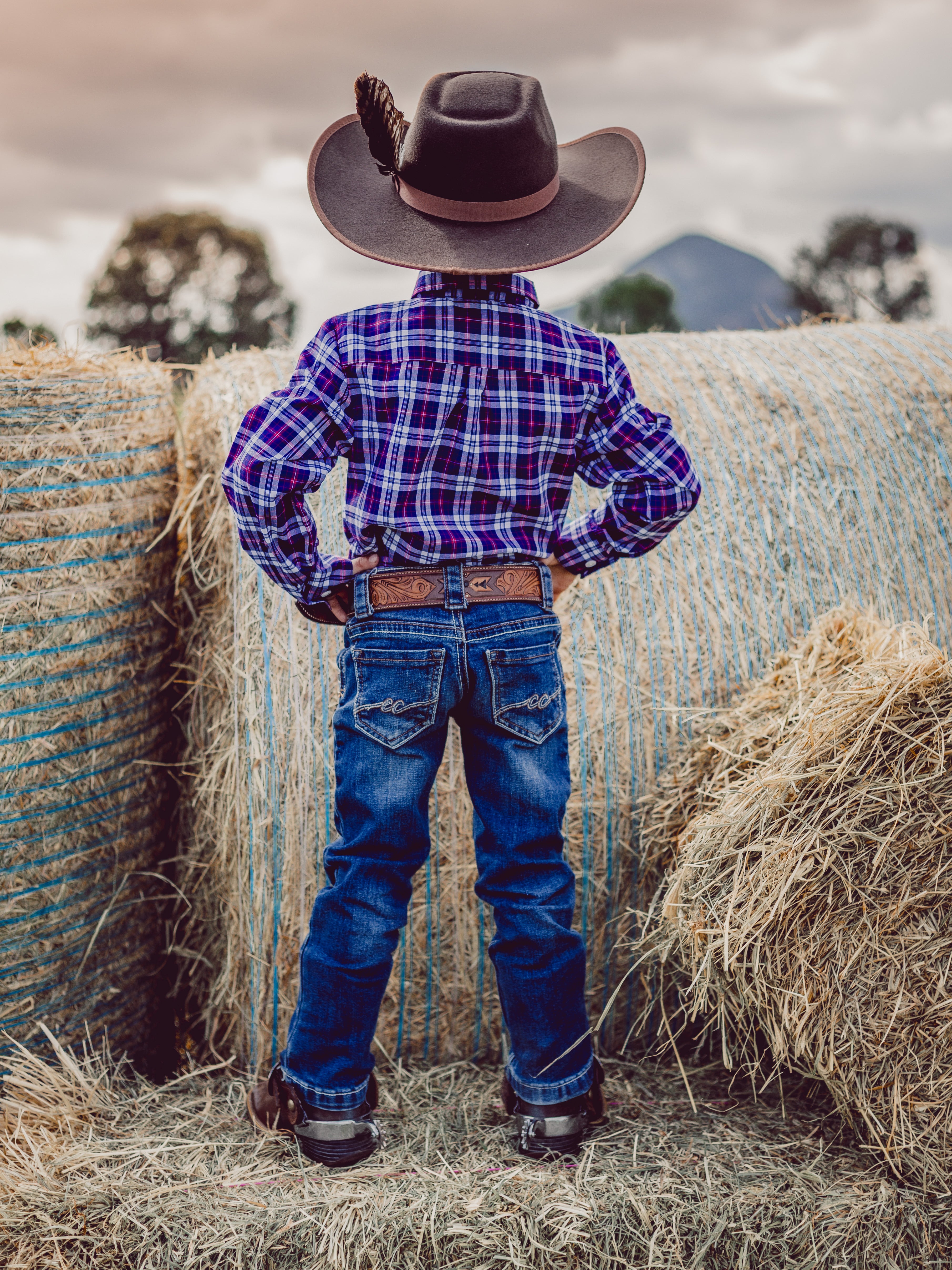 Ballandean Classic Dress Shirt