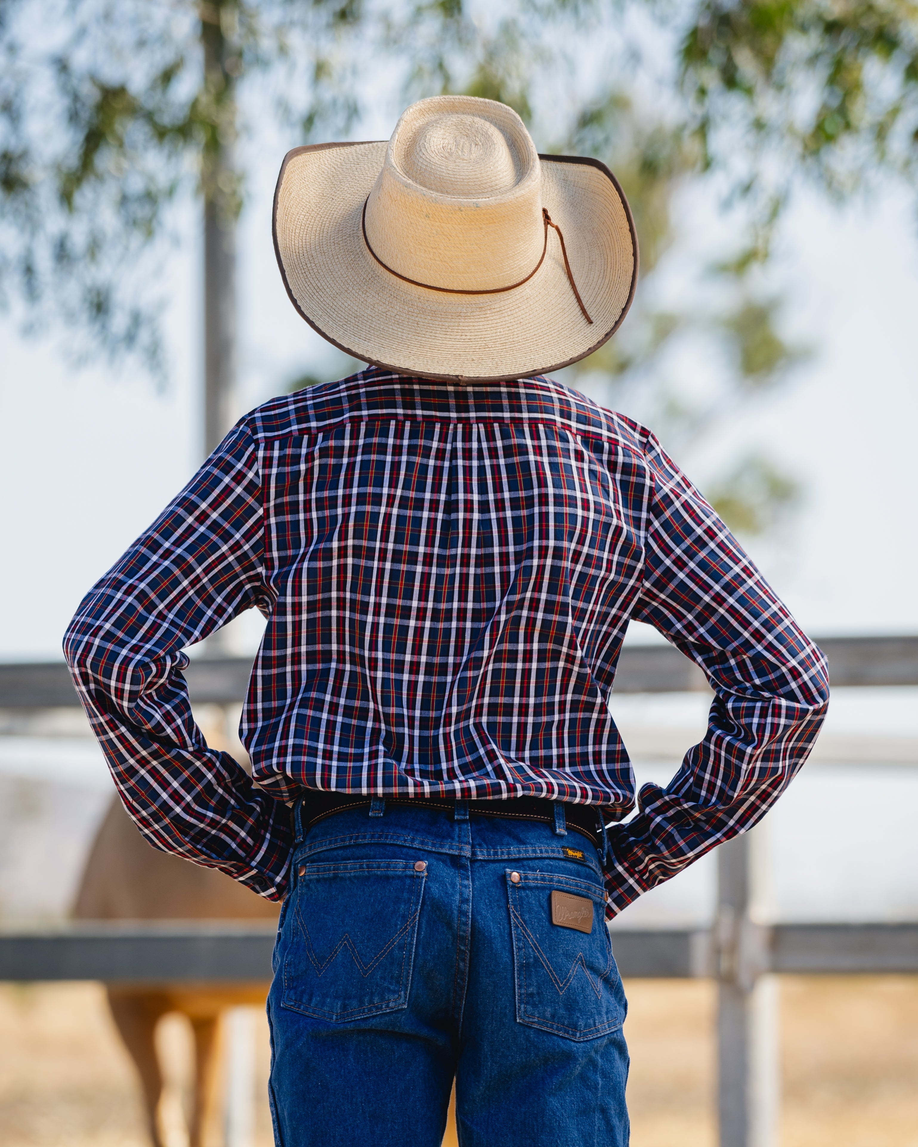 Ballandean Classic Teen Dress Shirt