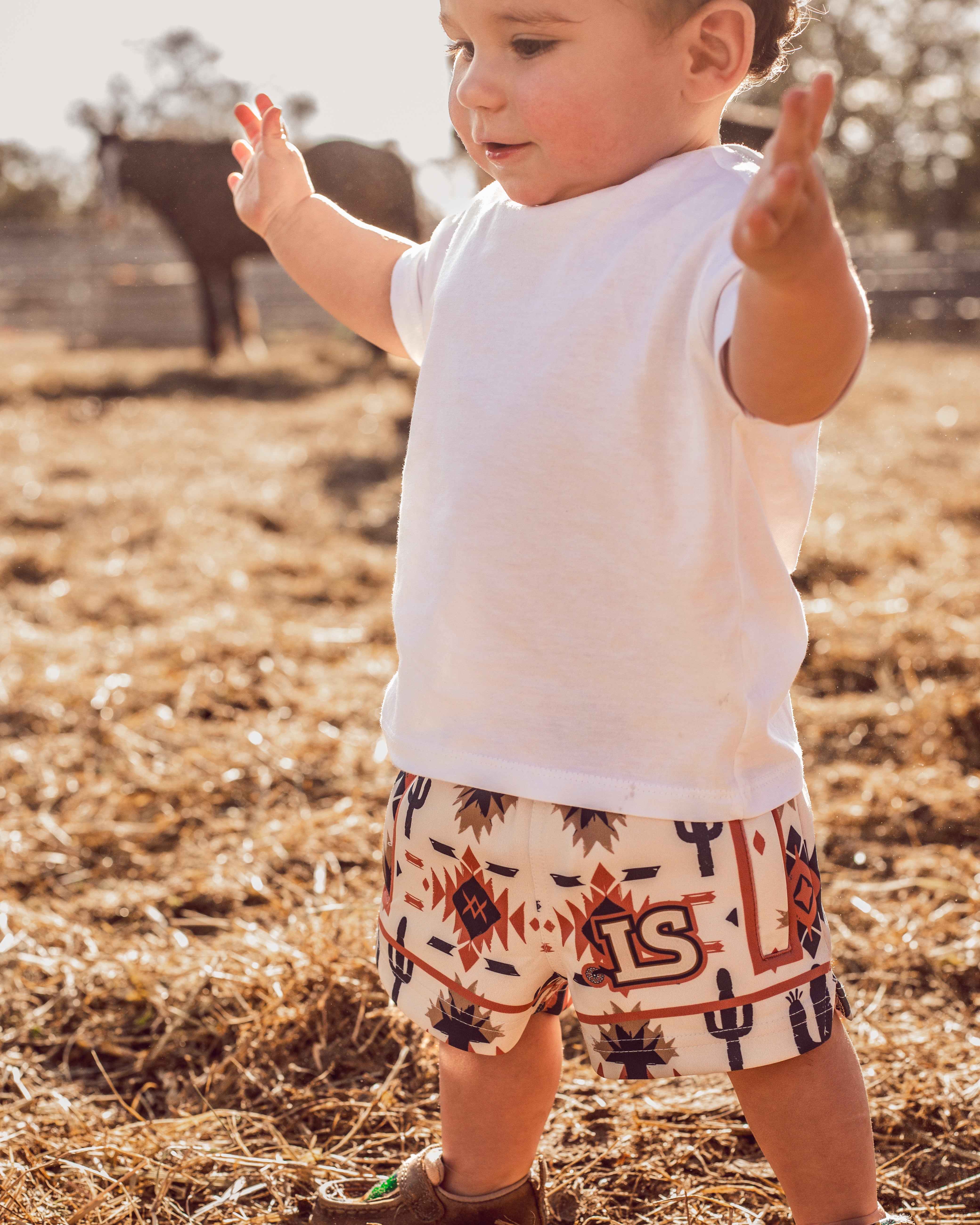 Aztec Shorts