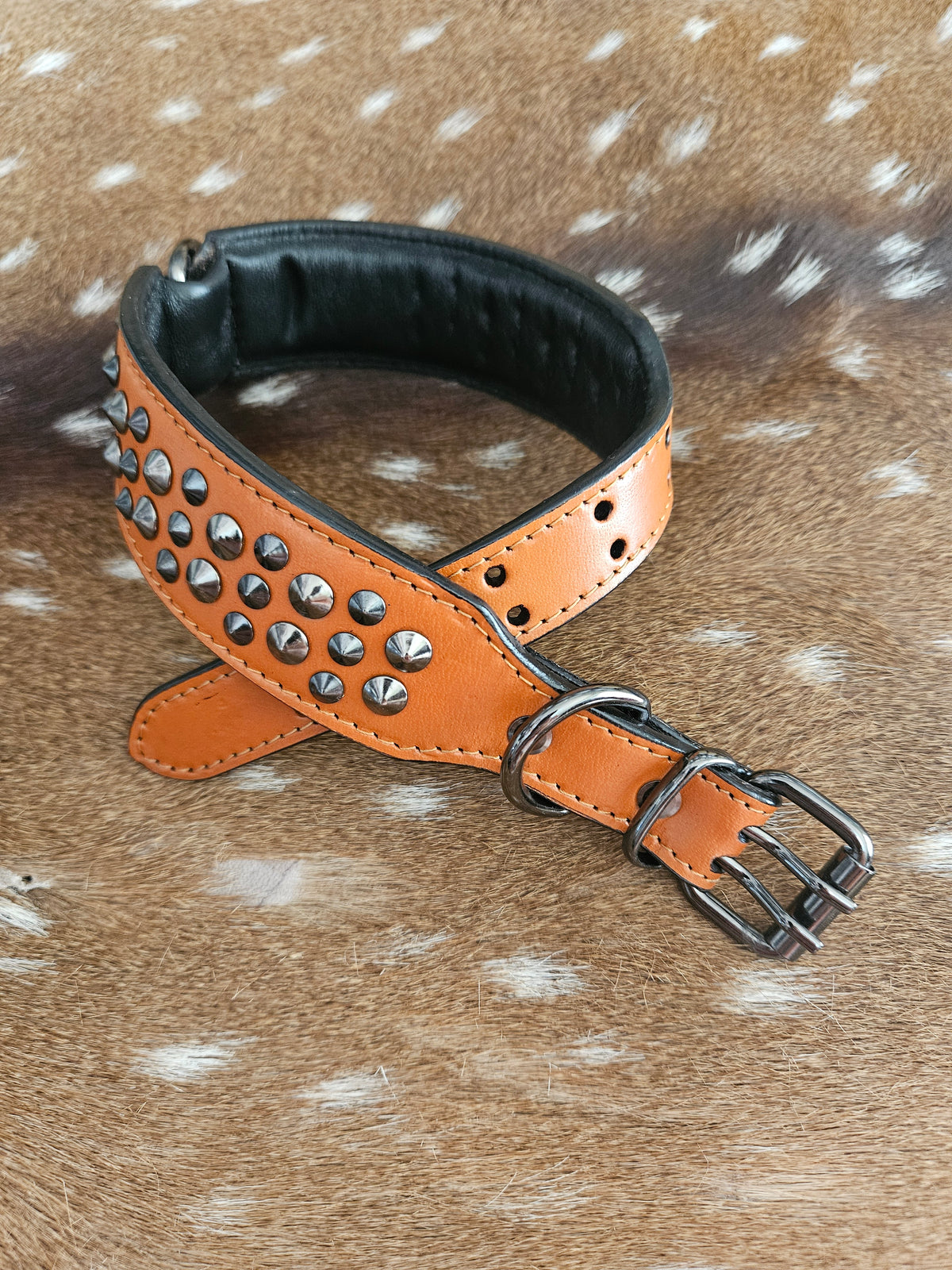 Tan Spike Dog Collar