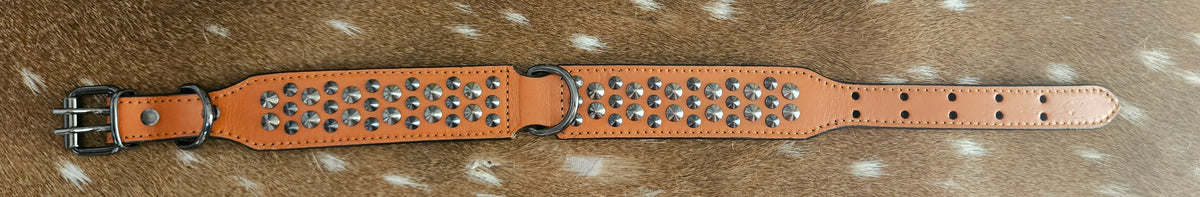 Tan Spike Dog Collar
