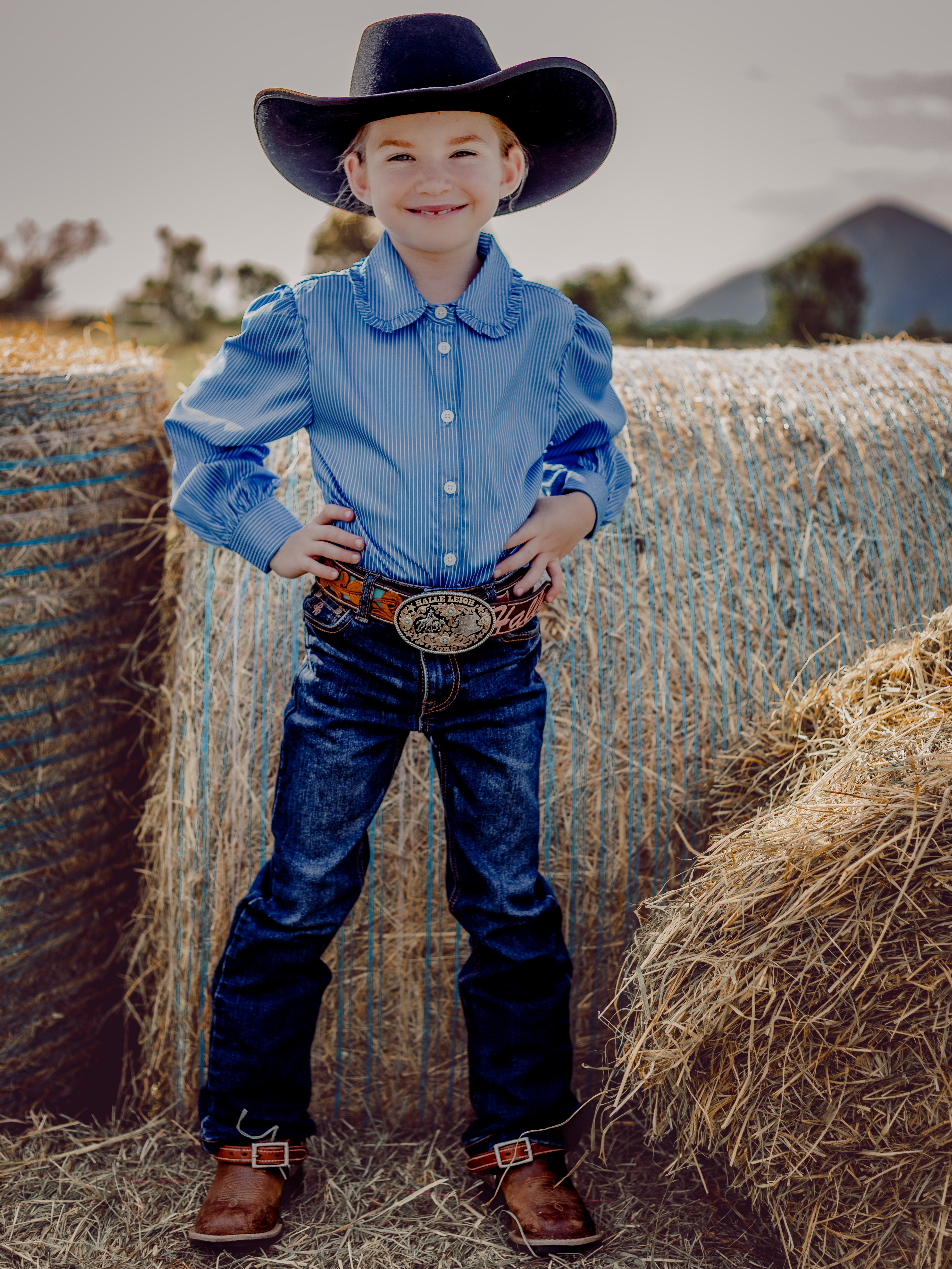 Chinchilla Classic Dress Shirt