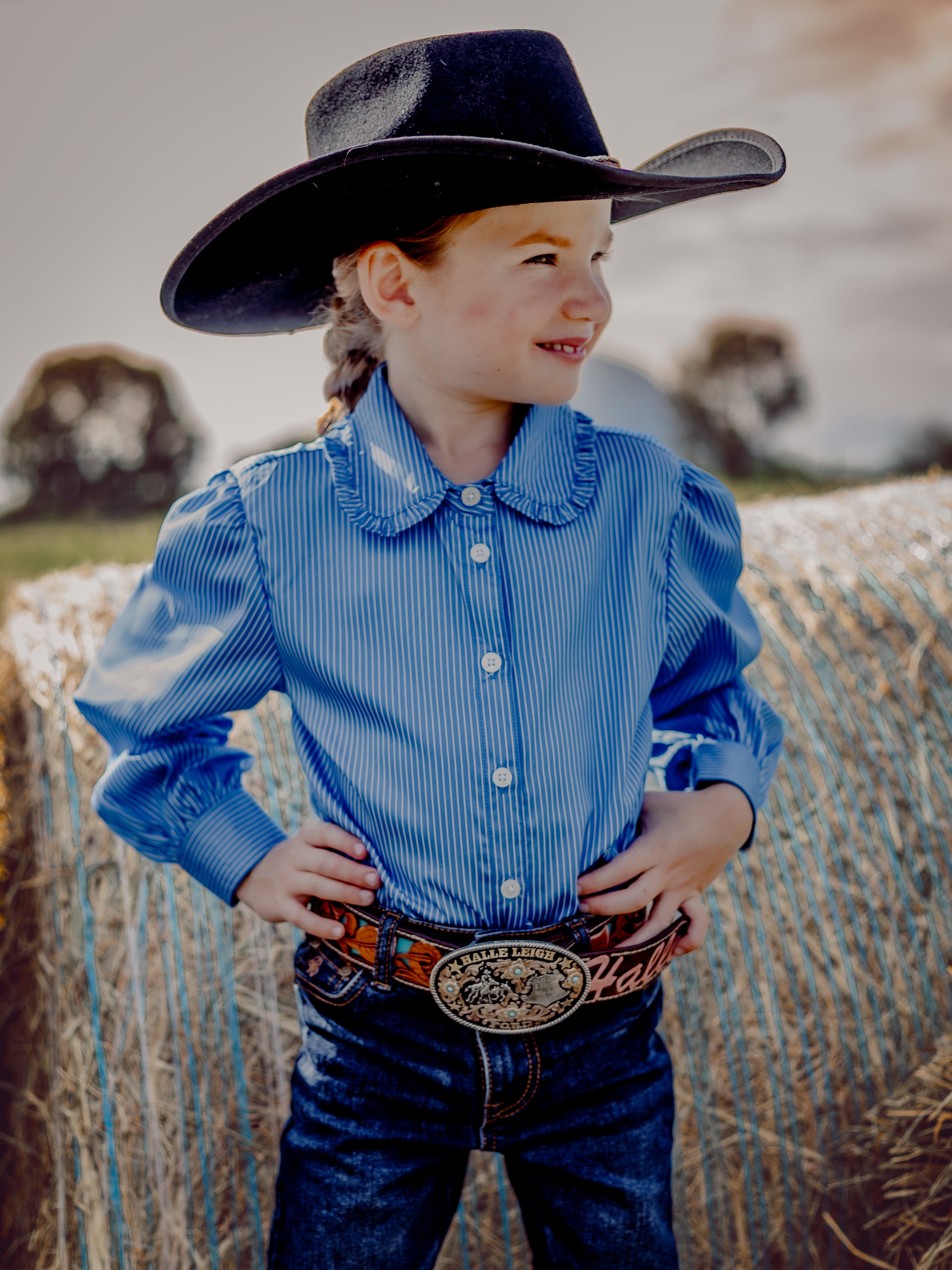 Chinchilla Classic Dress Shirt