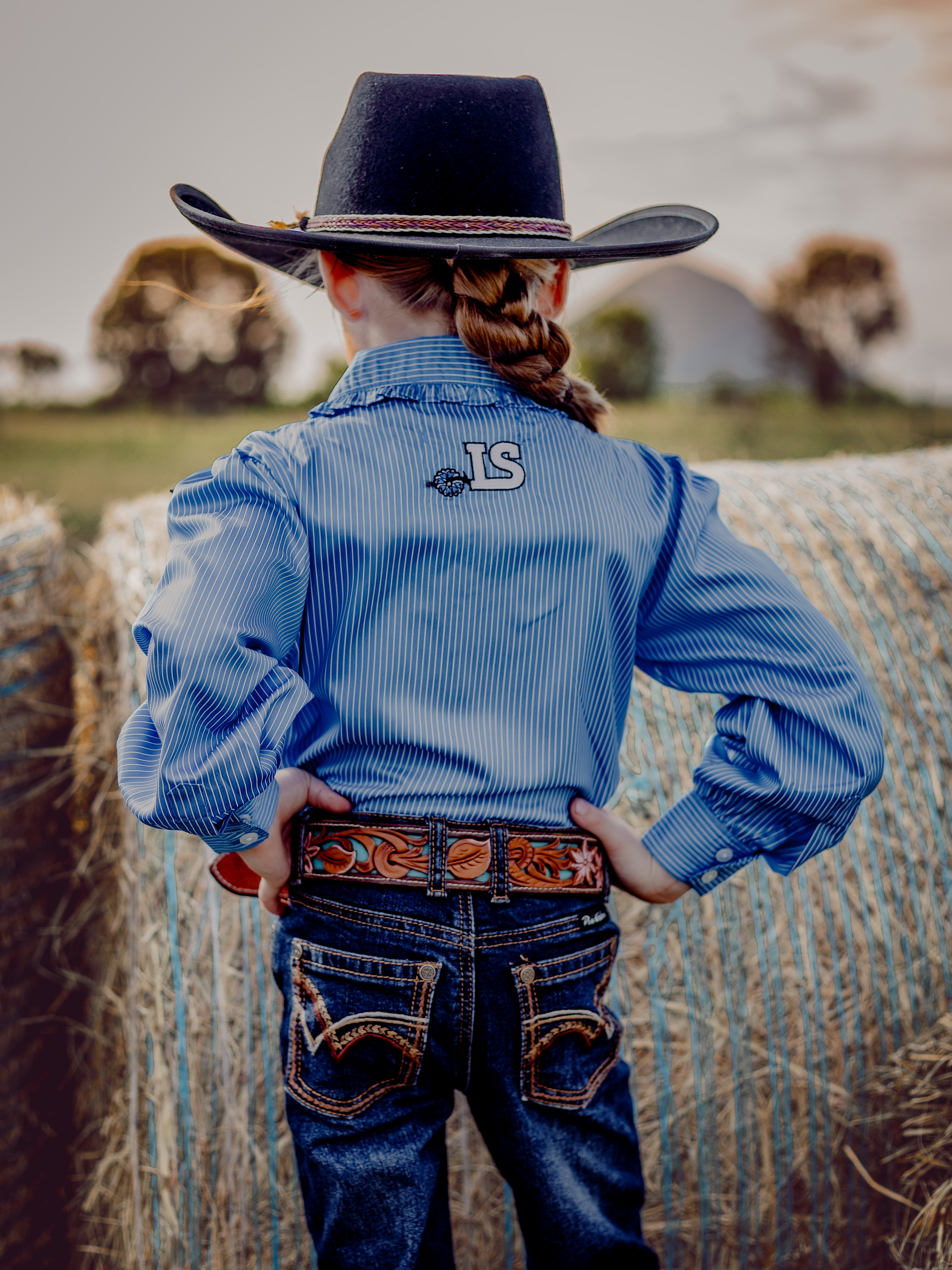 Chinchilla Classic Dress Shirt