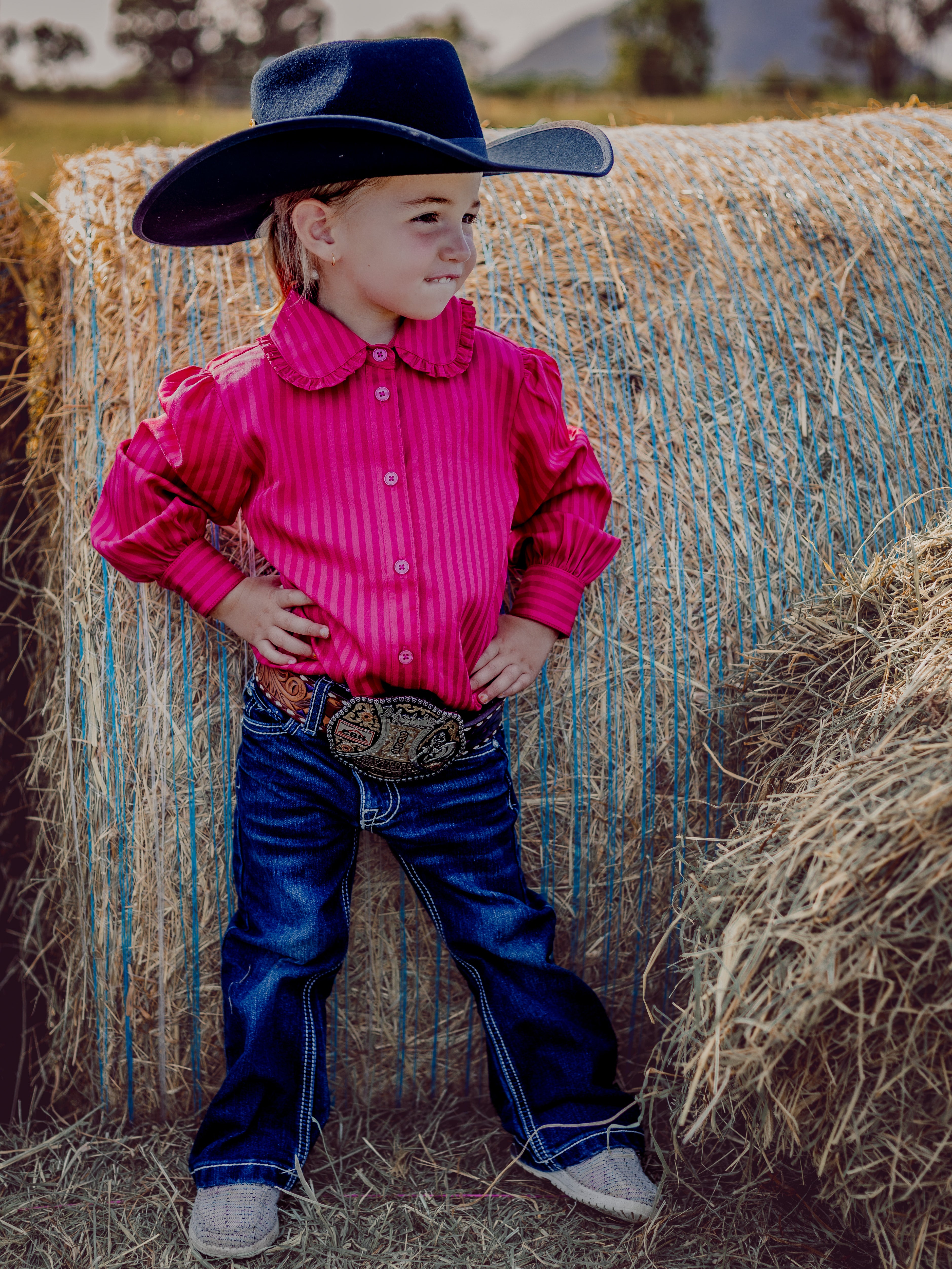 Chinchilla Classic Dress Shirt