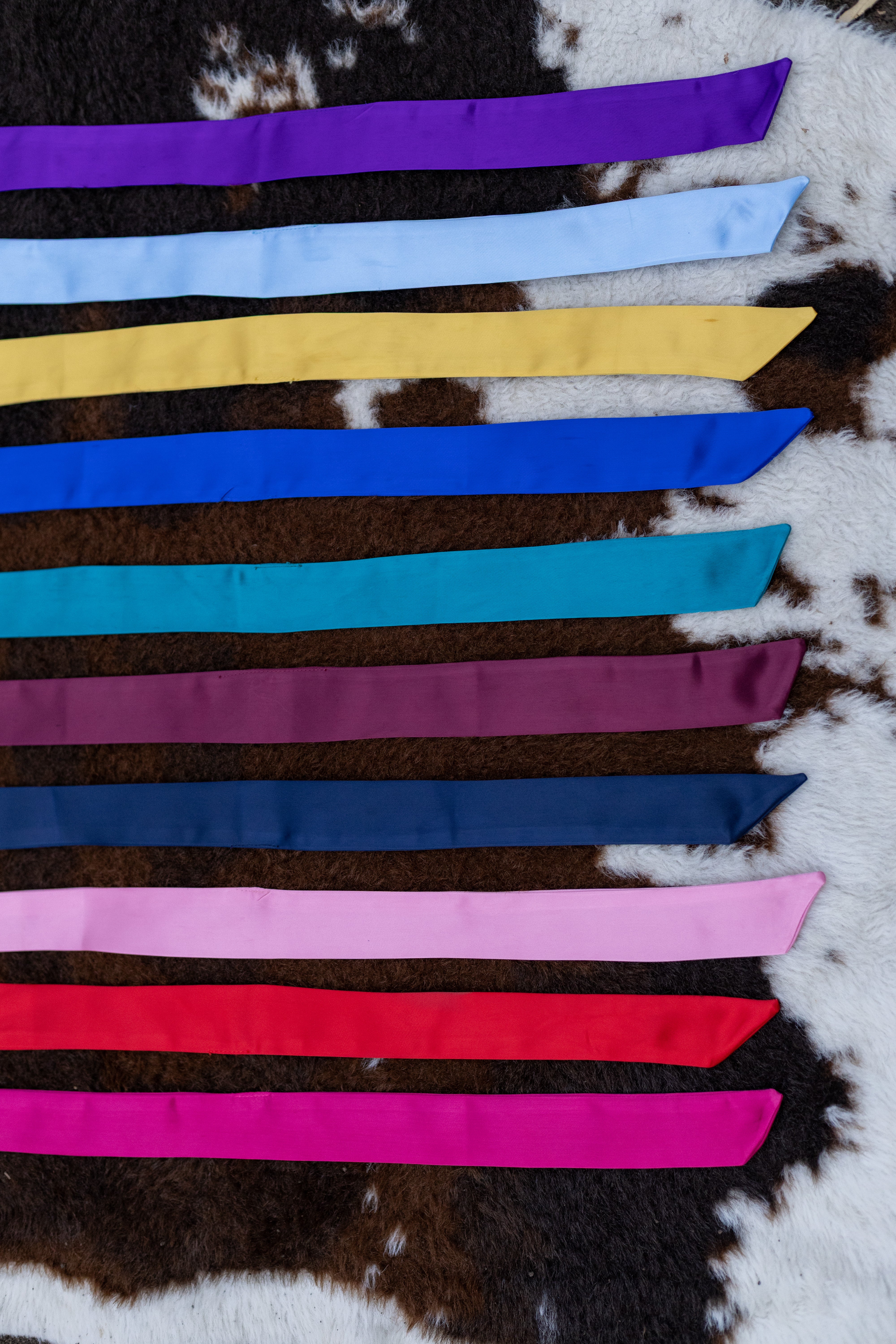 Little Spurs & Co Neck Scarves / Ties